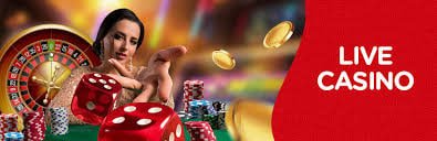 Langkah panduan sportbet dalam kartu fitur